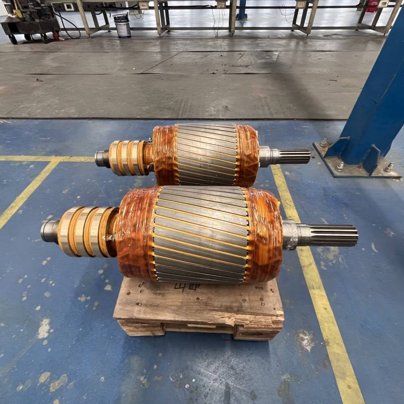 Custom Induction Motor Rotor Carbon Material 12mm Shaft Operating Temperature -20~120 Anjiexiaolei Model Motor Rotor 2