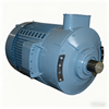 High Power Brushless DC Traction Motor