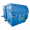 High Voltage Industrial Motor 6kV 2800kW High Efficiency Three Phase Asynchronous Motor