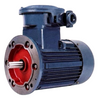 YB3-280S--2 OEM ODM Customizable Explosion-Proof AC Motor Variable Frequency 50Hz Three-Phase Asynchronous Motors