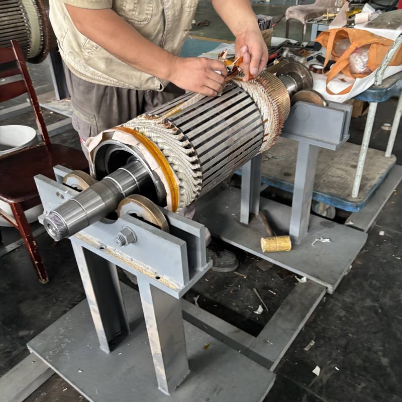 Custom Induction Motor Rotor Carbon Material 12mm Shaft Operating Temperature -20~120 Anjiexiaolei Model Motor Rotor 2