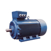 YE4-4504-2 1000KW IE5 Efficiency IP55 Protection Copper Core Electric Motor Variable Explosion Proof Three Phase Asynchronous AC Motor